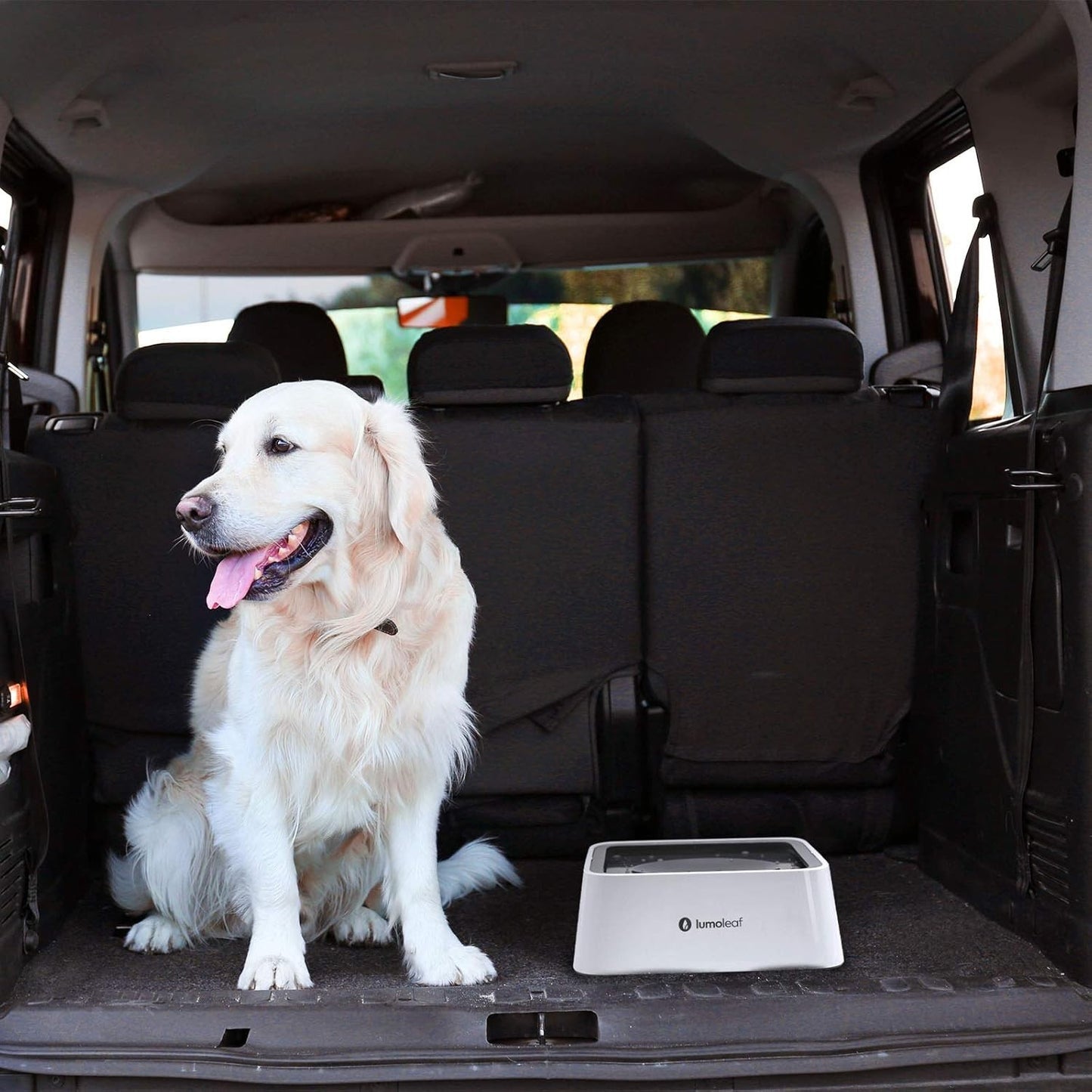 Large No Spill Slow Feed Dog Water Bowl Vehicle Travel Filter 70Oz 2L Capacity