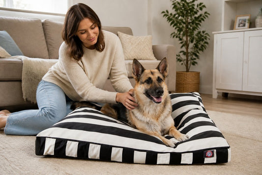 Dog Bed Warranty and Return Policies: A Complete Guide