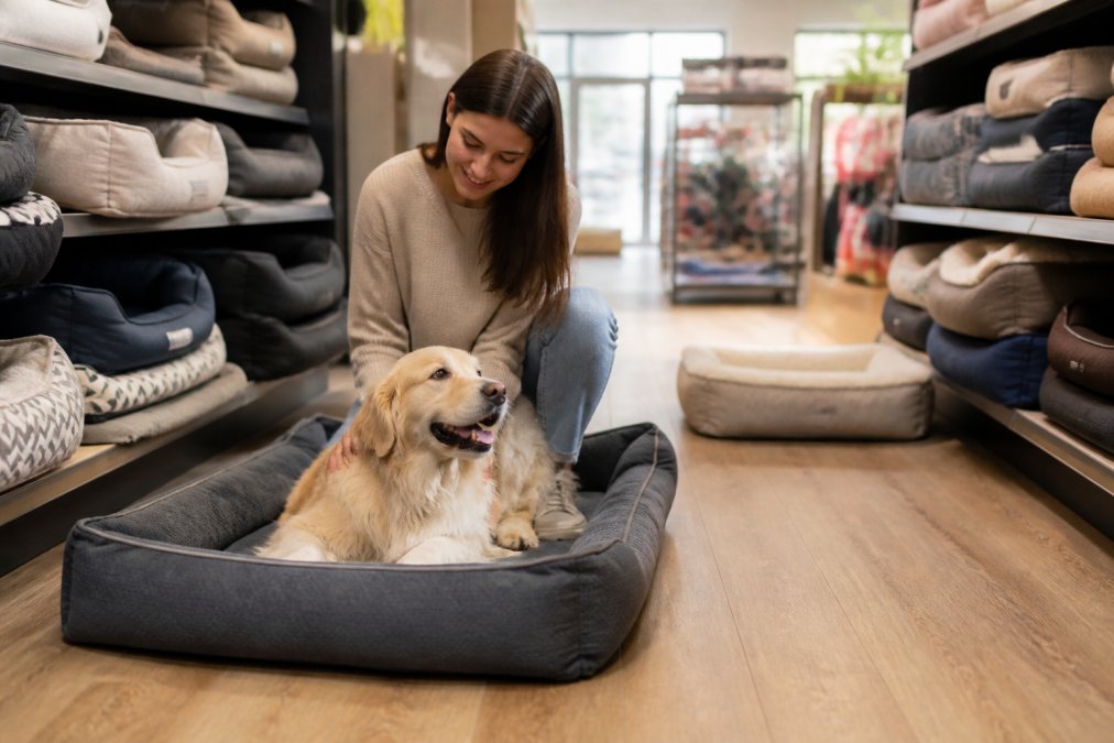 How to Choose the Right Dog Bed: A 2026 Guide
