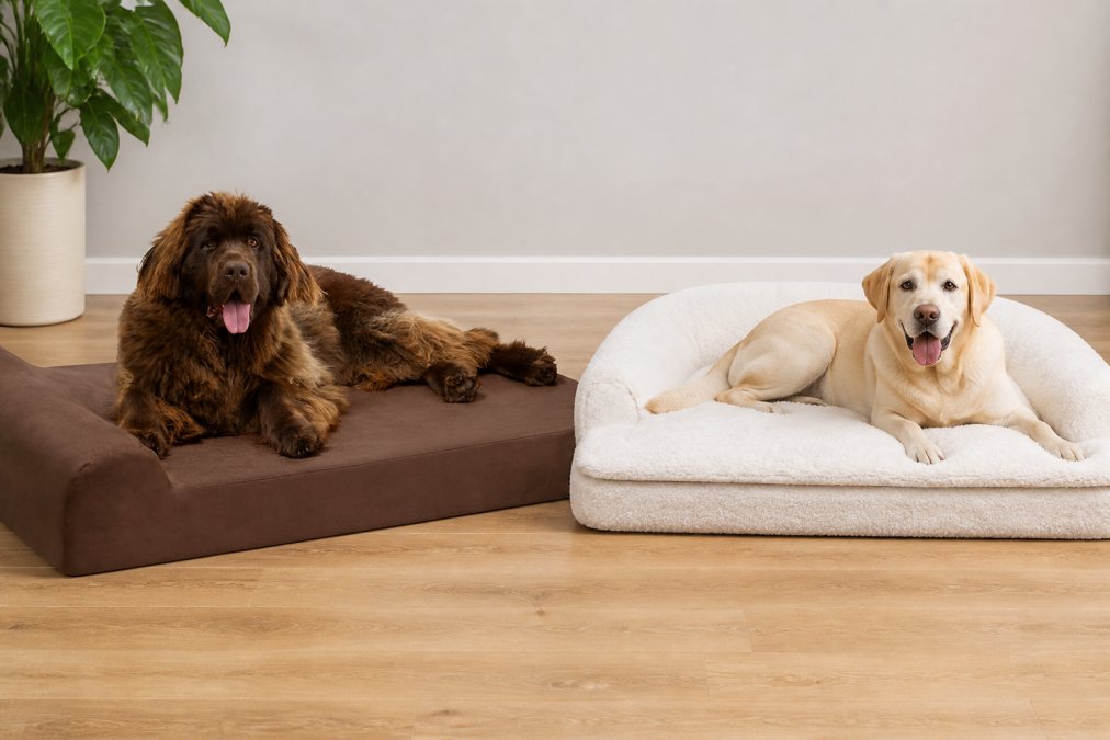 ThePetEmpire vs OnlyNaturalPet: Which Wins for Arthritis Support?