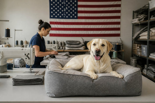Why Choose Made in USA Pet Products for Your Dog