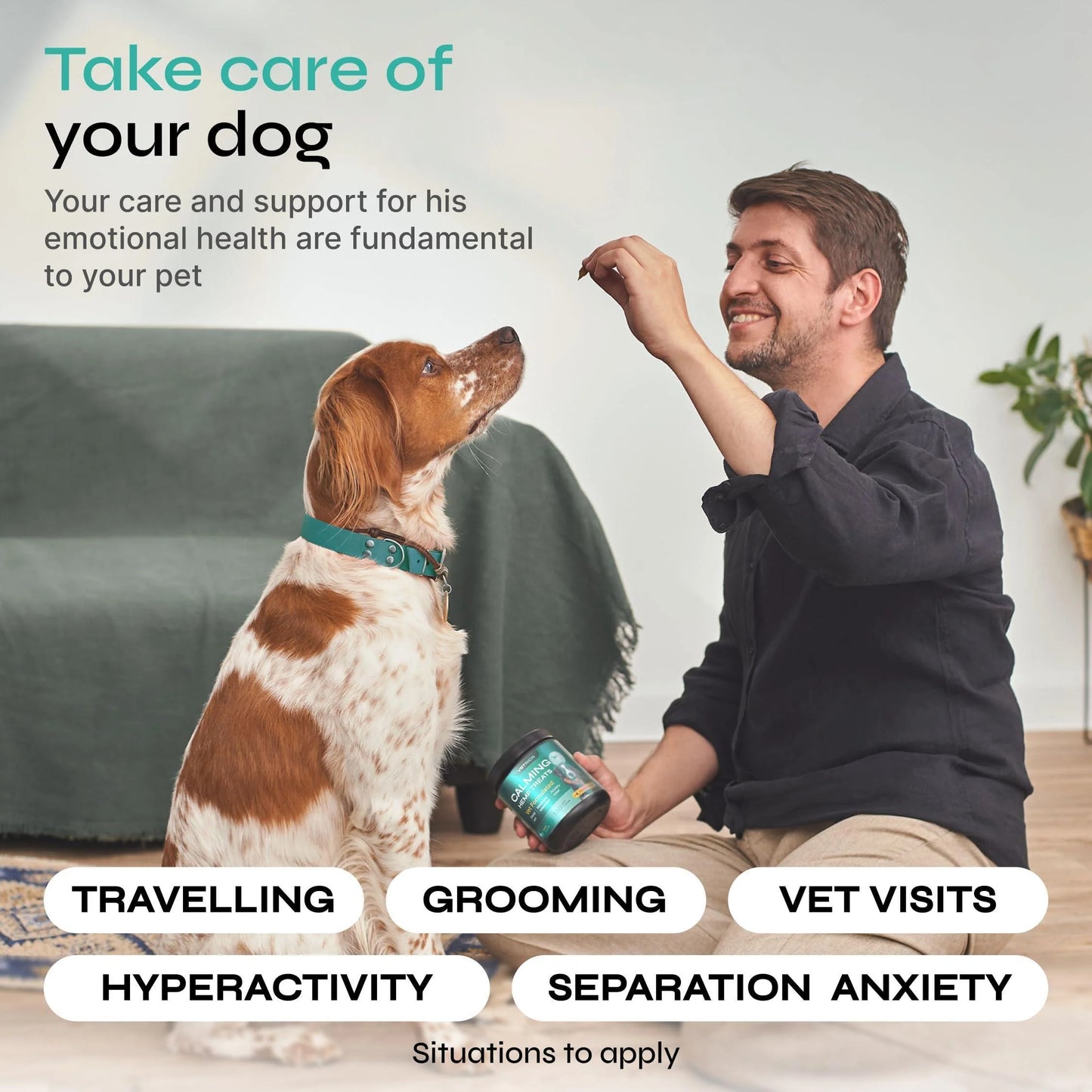 Calming Chews for Dog Anxiety Relief Calming Treats for Dogs Stress Separation