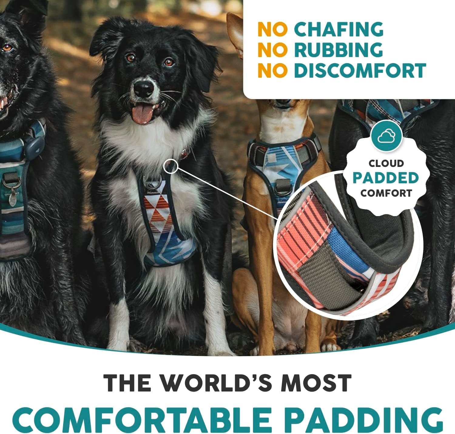 Embark Adventure Small Dog Harness – No-Pull, Reflective Trim, Military-Grade Nylon, Front Clip with Gel-Lined Handle