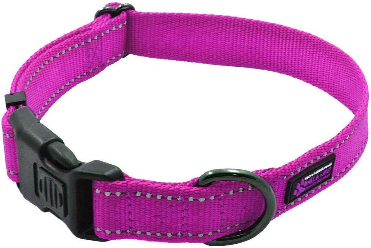Pink Neo Nylon Buckle reflective dog collar with locking buckle and tag loop, medium size.