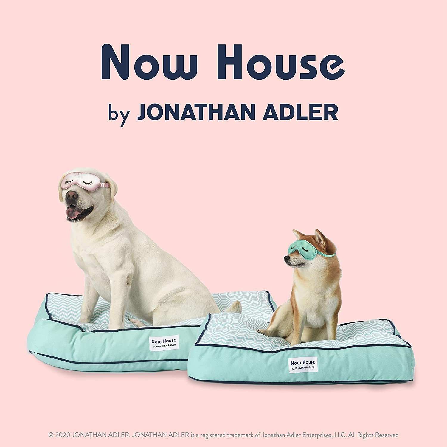 Jonathan Adler Now House for Pets Teal Chevron Cushion Dog Bed, Large: Machine Washable Dog Bed for Large Dogs by Jonathan Adler