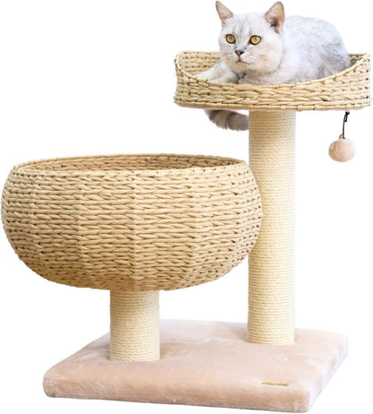 23-inch eco-friendly handwoven paper rope cat tree with sisal scratching posts, washable cushion, elevated perch, and playful teaser toy for indoor cats