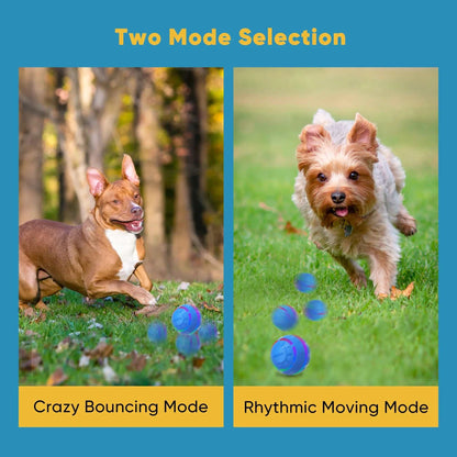 Interactive Toy Dog Ball, Active Rolling Ball for Dogs with Flashing LED Light, Moving Bouncing Toys Ball for Medium Large Dogs, USB Rechargeable, Blue