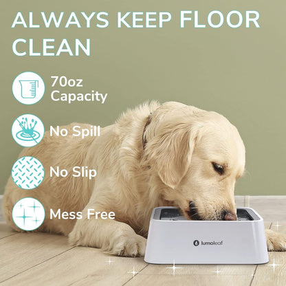 Large No Spill Slow Feed Dog Water Bowl Vehicle Travel Filter 70Oz 2L Capacity