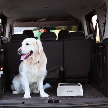 Large No Spill Slow Feed Dog Water Bowl Vehicle Travel Filter 70Oz 2L Capacity
