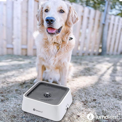 Large No Spill Slow Feed Dog Water Bowl Vehicle Travel Filter 70Oz 2L Capacity