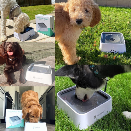 Large No Spill Slow Feed Dog Water Bowl Vehicle Travel Filter 70Oz 2L Capacity